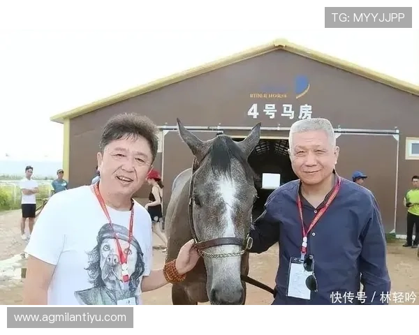 米兰app网页版登录界面介绍及操作技巧,提升使用体验 米兰app网页版登录界面介绍及操作技巧,提升使用体验