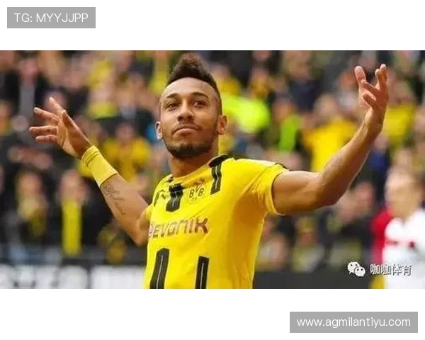 米兰体育官网注册成功后如何进行账号激活与登录