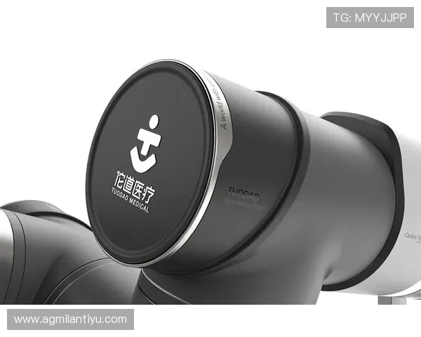 米兰国际艺术设计奖获奖作品:揭示全球顶尖设计师的创新理念与创作灵感 米兰国际艺术设计奖获奖作品:揭示全球顶尖设计师的创新理念与创作灵感