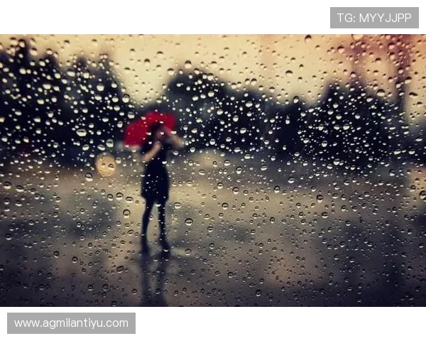 米兰官网下载入口及最新版本更新详细流程介绍