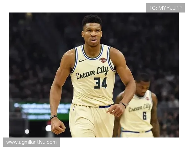 半岛体育app下载功能全面介绍，助你轻松掌握赛事直播、比分预测与社区互动