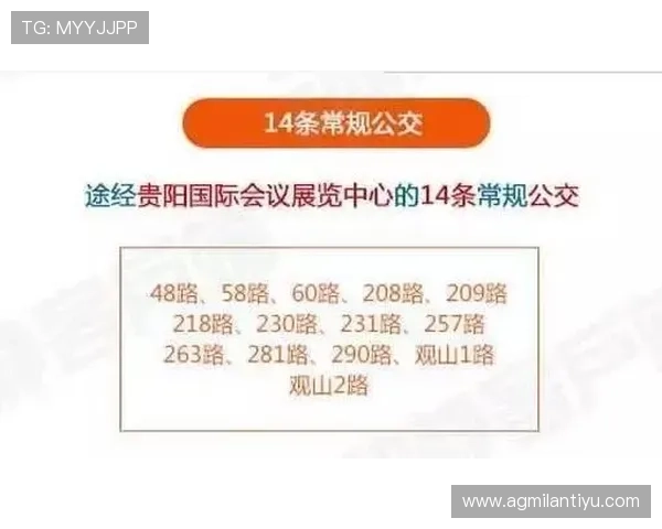 开博体育新手入门指南，帮助初学者快速掌握投注技巧与规则